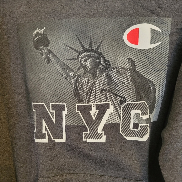CHAMPION hoodie sweatshirt NWT size small GREY RARE - Picture 2 of 8